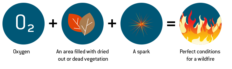 Elements that cause a wildfire. Natural Disaster Guide from Direct Energy.