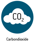 Effect of Wildfires on the Environment: Carbon Dioxide. Natural Disaster Guide from Direct Energy.